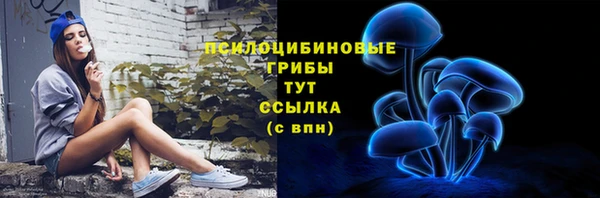 ПСИЛОЦИБИНОВЫЕ ГРИБЫ Балахна